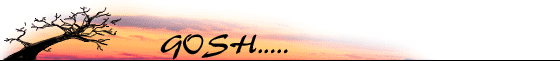Gosh banner